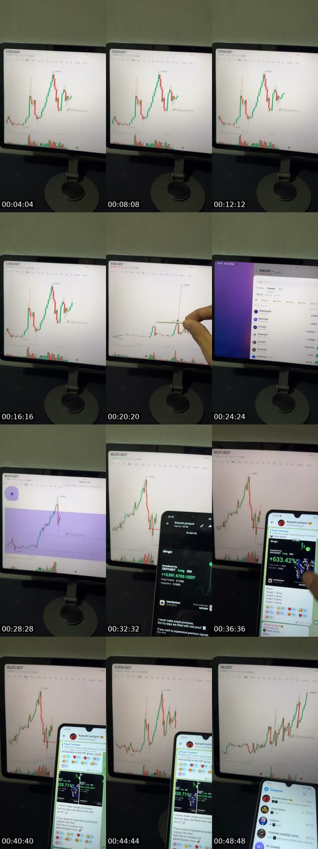 TikTok live: Wellcome by @the_whale_circle