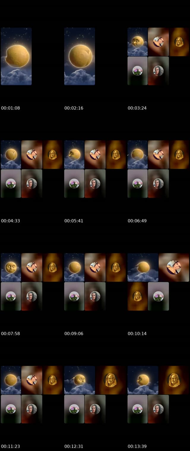 @hampsterbackup TikTok live from 2026-05-23