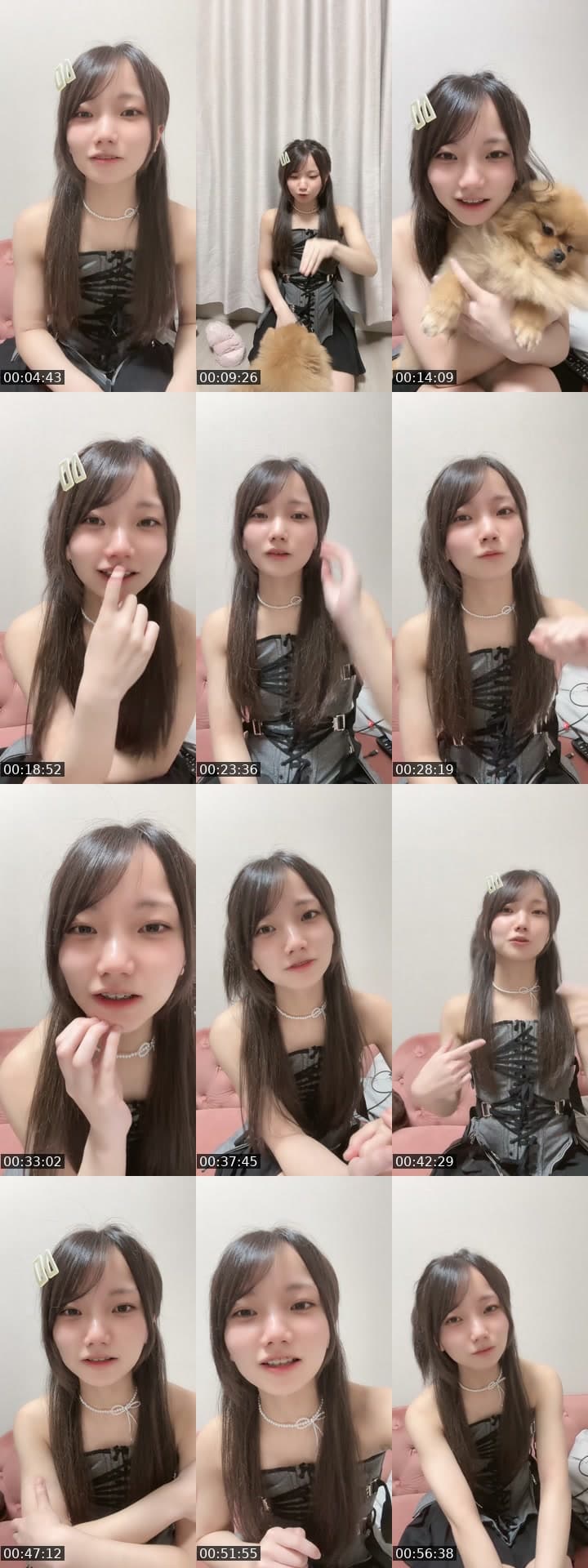 わんわん