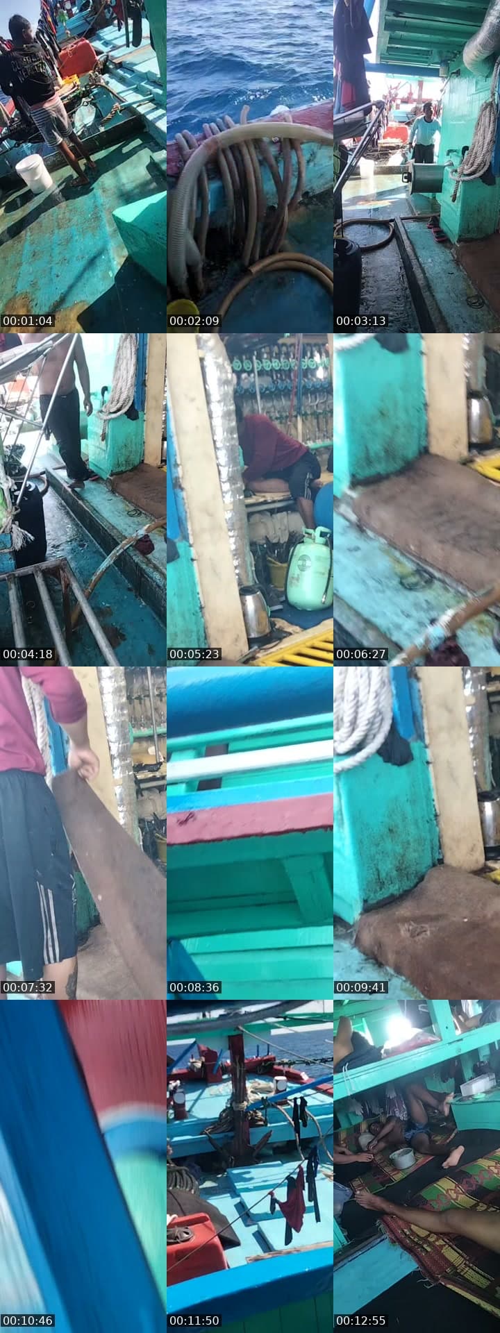 @bowopetax TikTok live stream