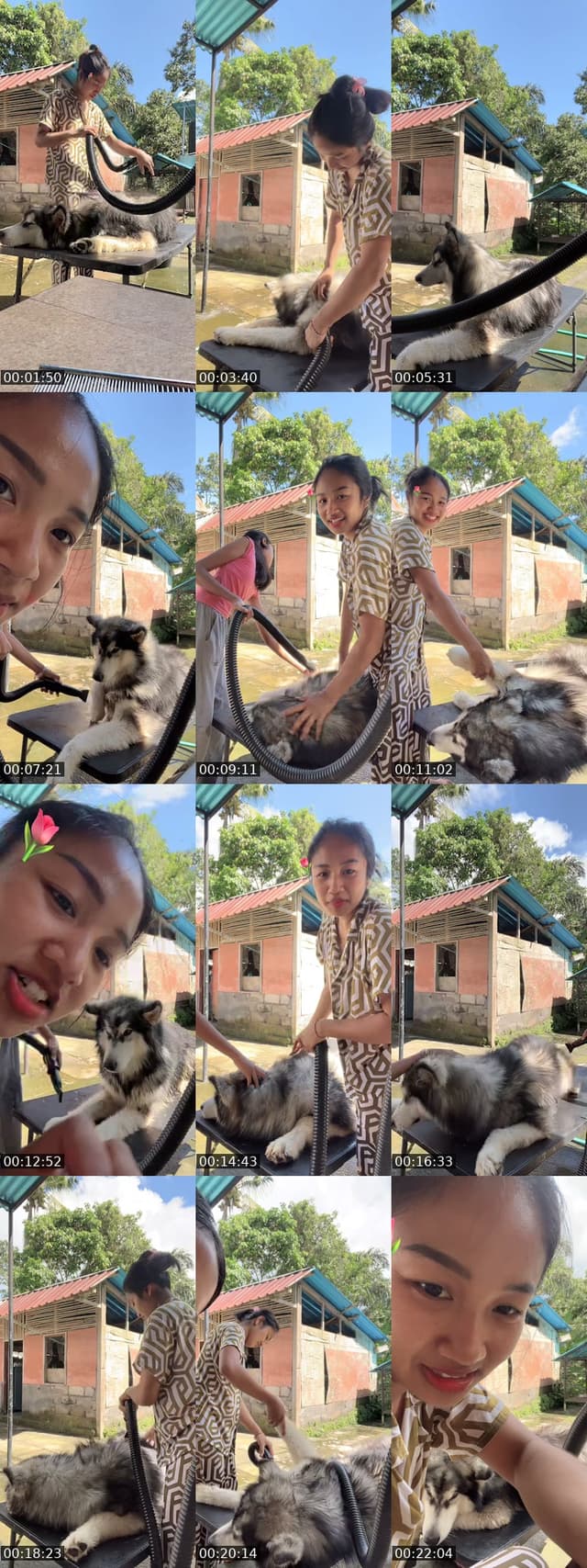 @panggilajayupang TikTok live from 2026-05-24