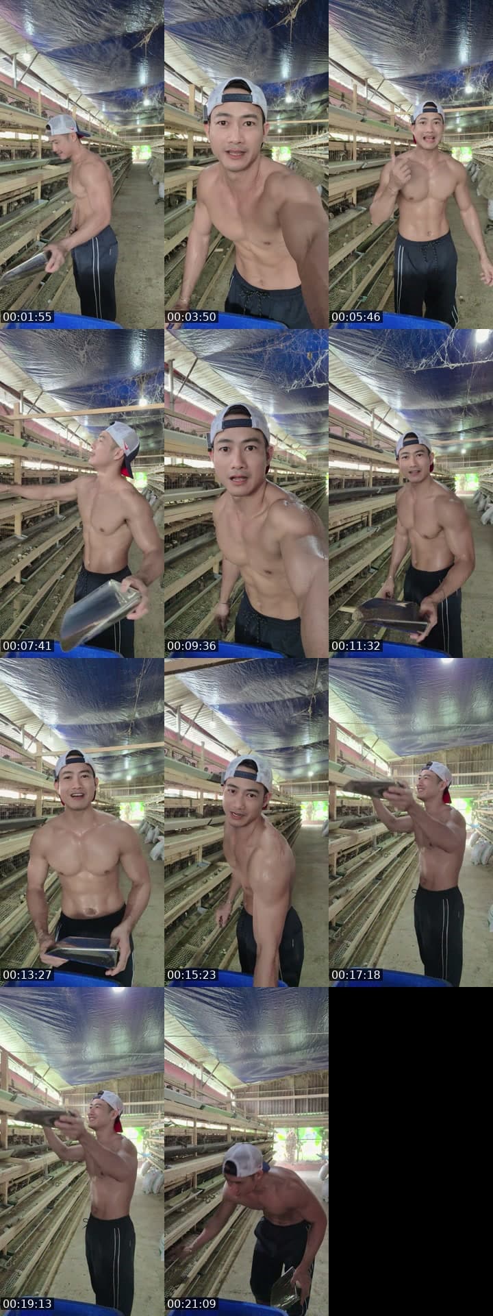 i like tiktok. Trường chăn nuôi!