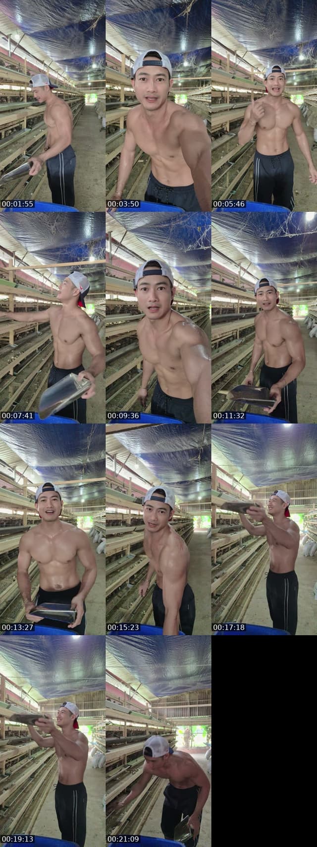 TikTok live: i like tiktok. Trường chăn nuôi! by @vantruong0211
