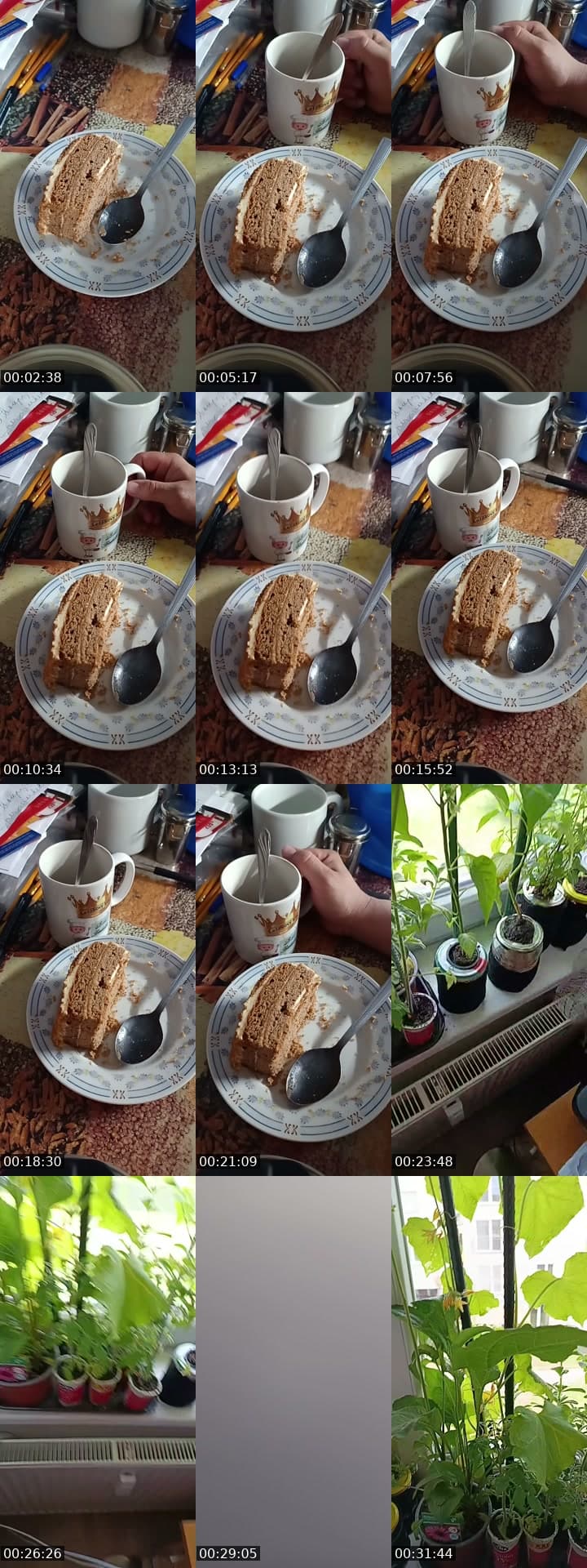 @www.lubosbailador.com TikTok live stream
