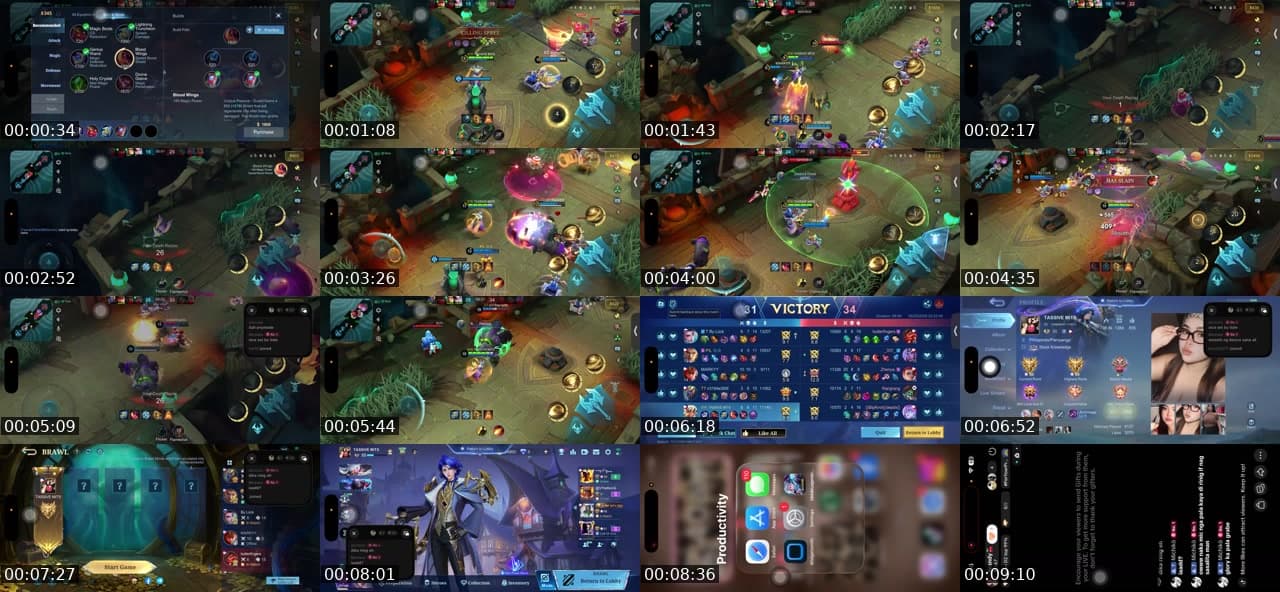 brawl