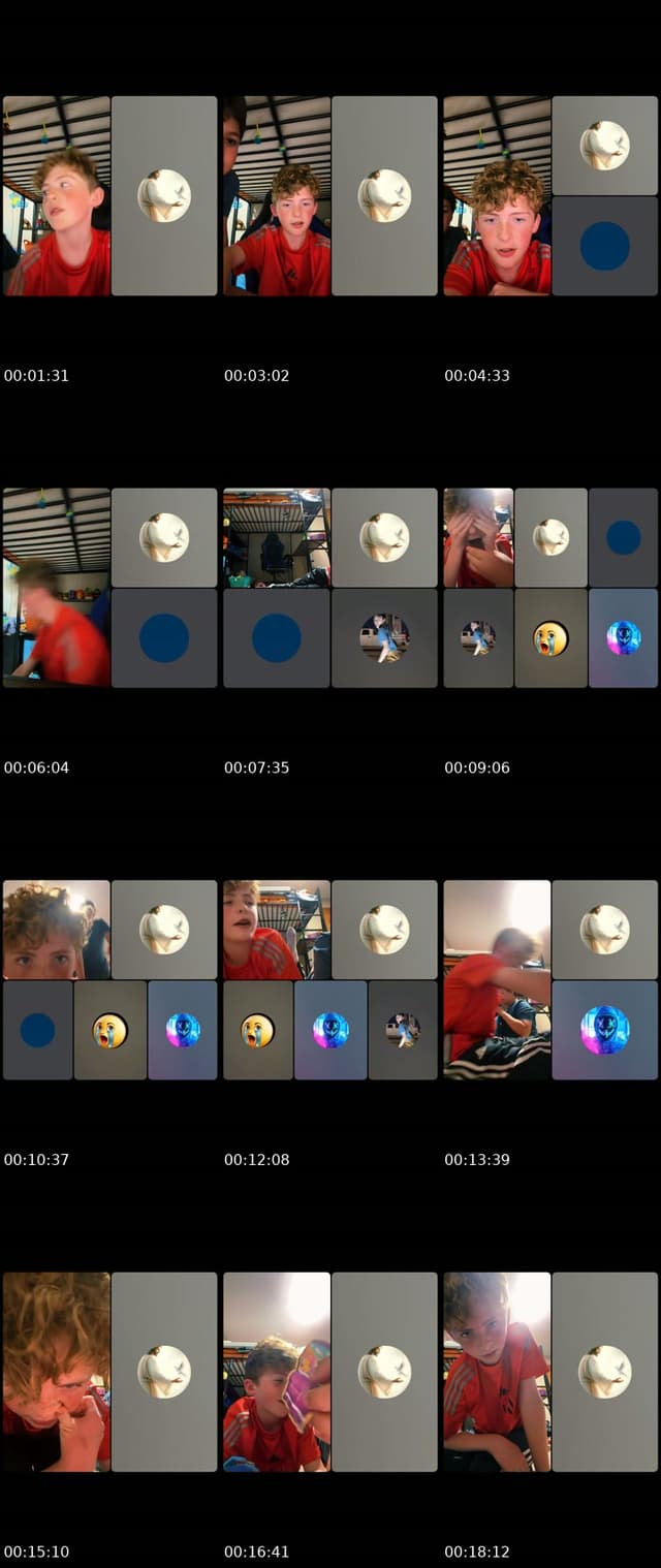 TikTok live: Cat Vs Pickles by @mrs.bobby00