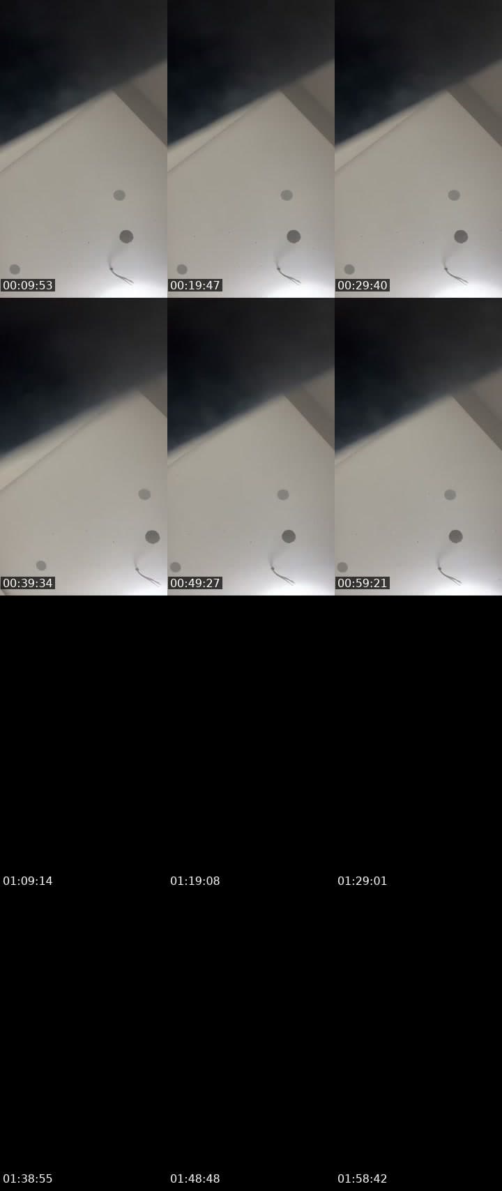 hi