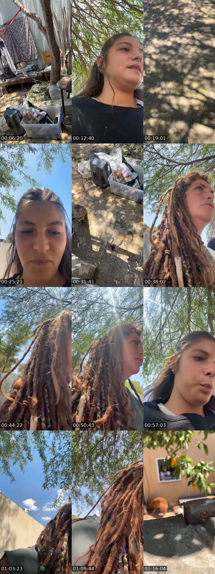 @shanti.farm.rescue TikTok live stream