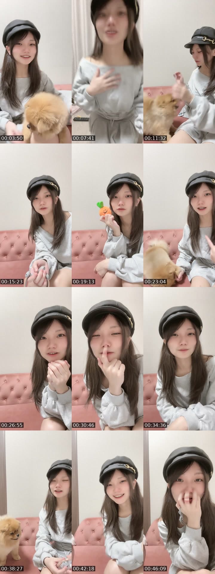 わんわん