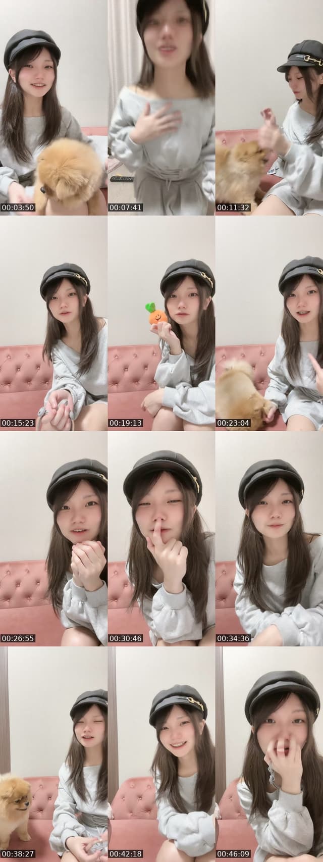 TikTok live: わんわん by @omochi00mochimochi