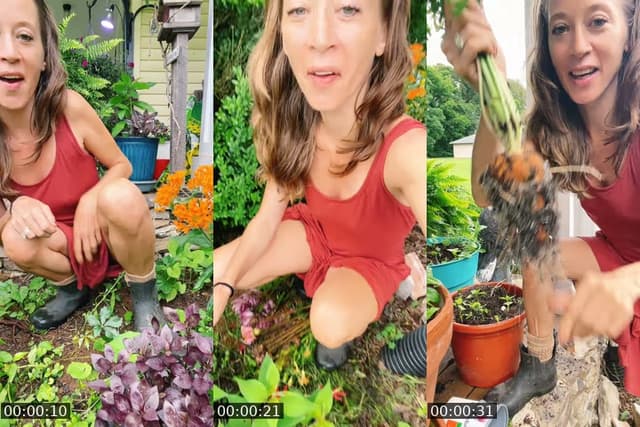 In The Garden - @bsgardening