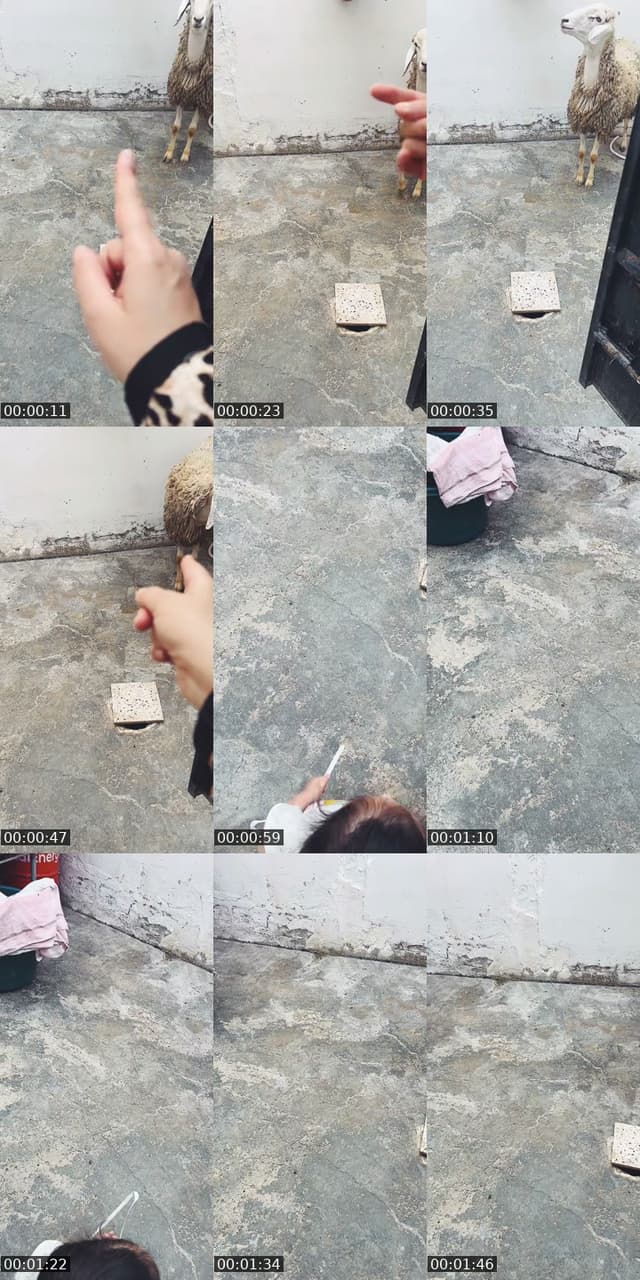 @juliaregina75 TikTok live