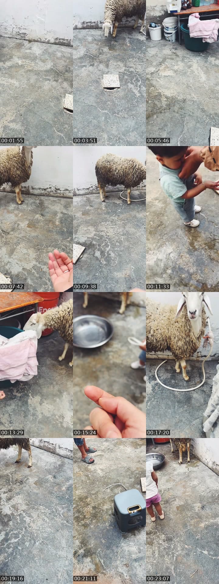 @juliaregina75 TikTok live stream
