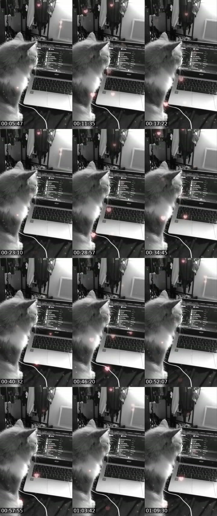 ASMR