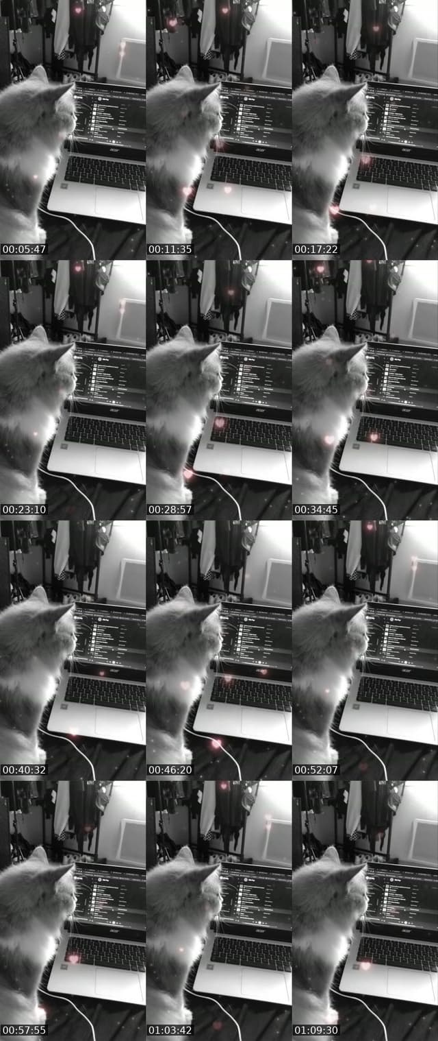TikTok live: ASMR by @zaachan65