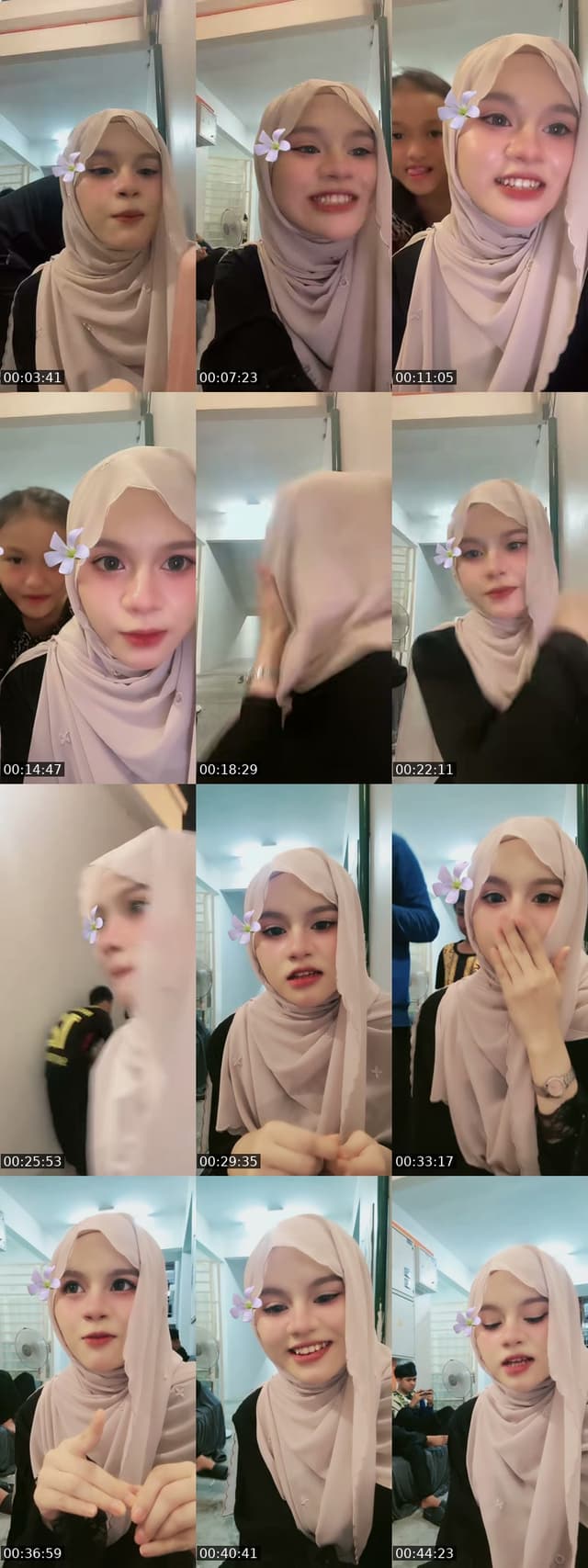 TikTok live: halooo by @meowgraymeow