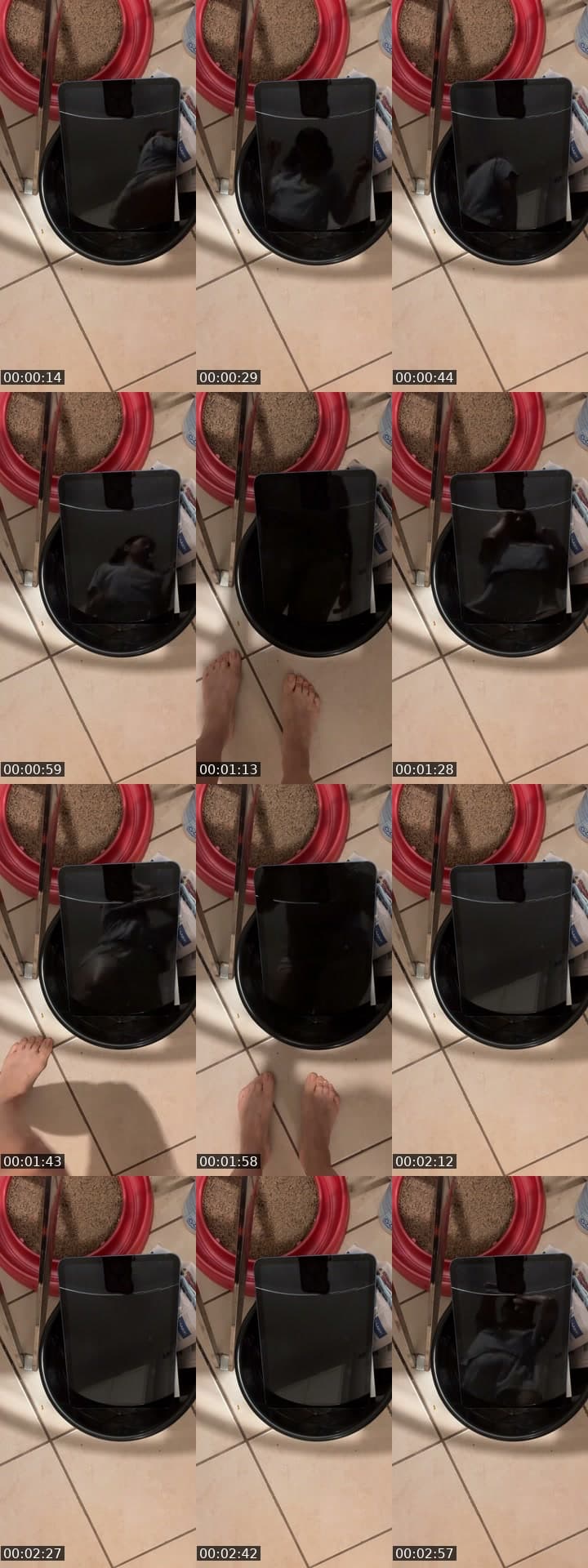 @peanutbutter567zz TikTok live stream