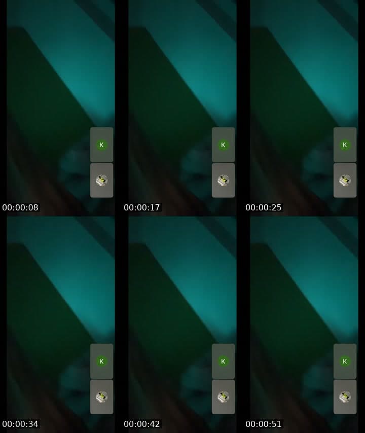 UJ SNAP: bogicavook.2