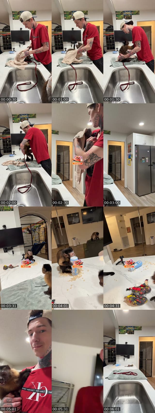 TikTok live: Hi friends by @cratonszootopia