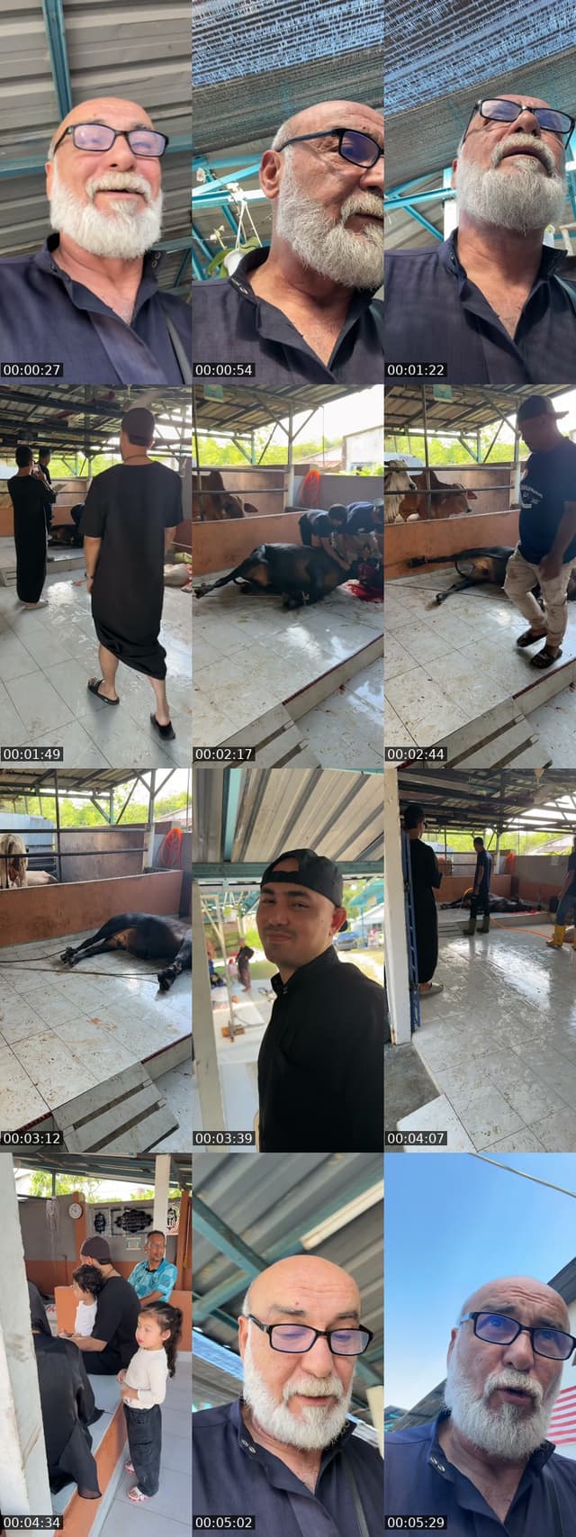 TikTok live: NEW RELEASE by @mahmoudomar051