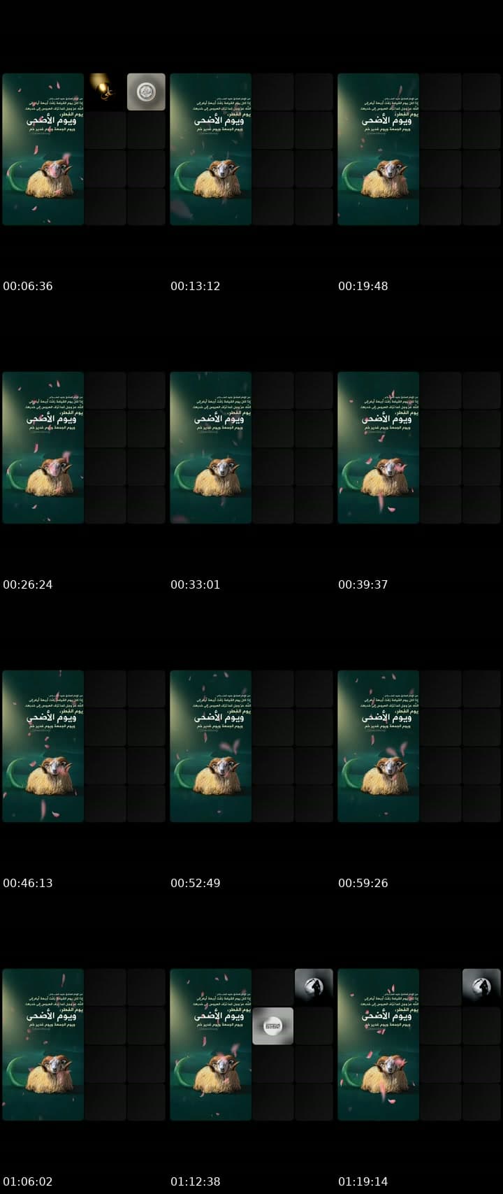 @67ws4 TikTok live stream