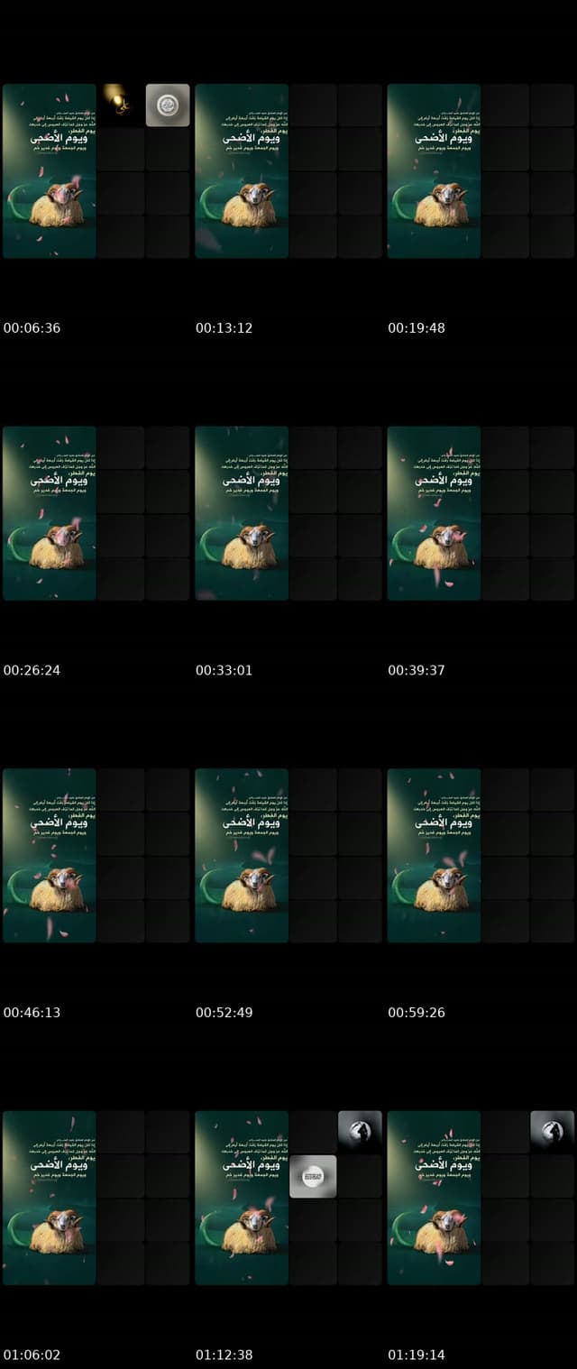 @67ws4 TikTok live