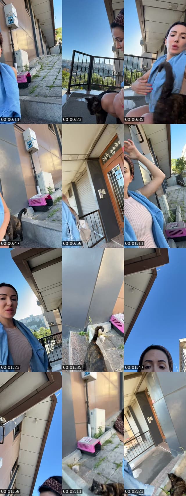 @melissword TikTok live
