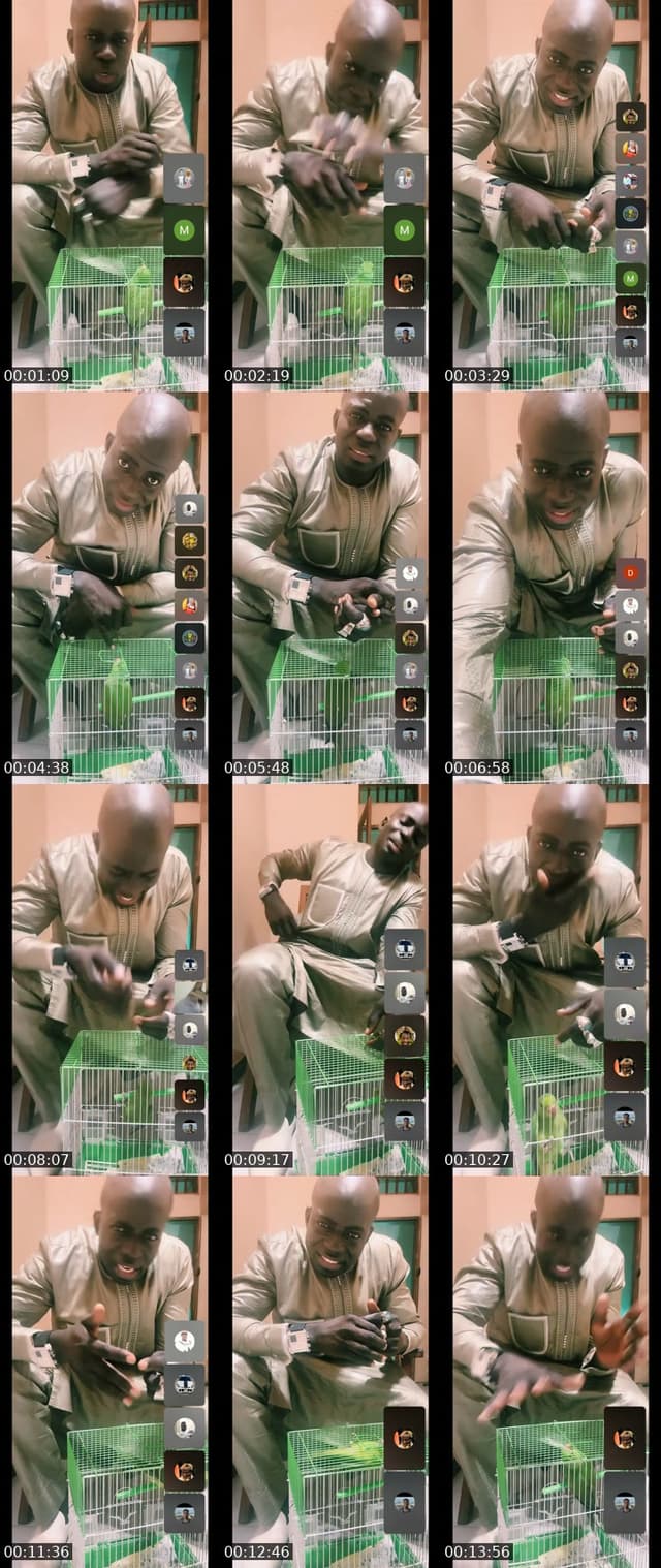 @modouyade88 TikTok live from 2026-05-28