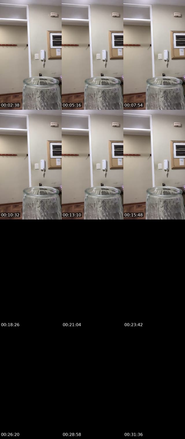 @dian_meowth TikTok live from 2026-05-28