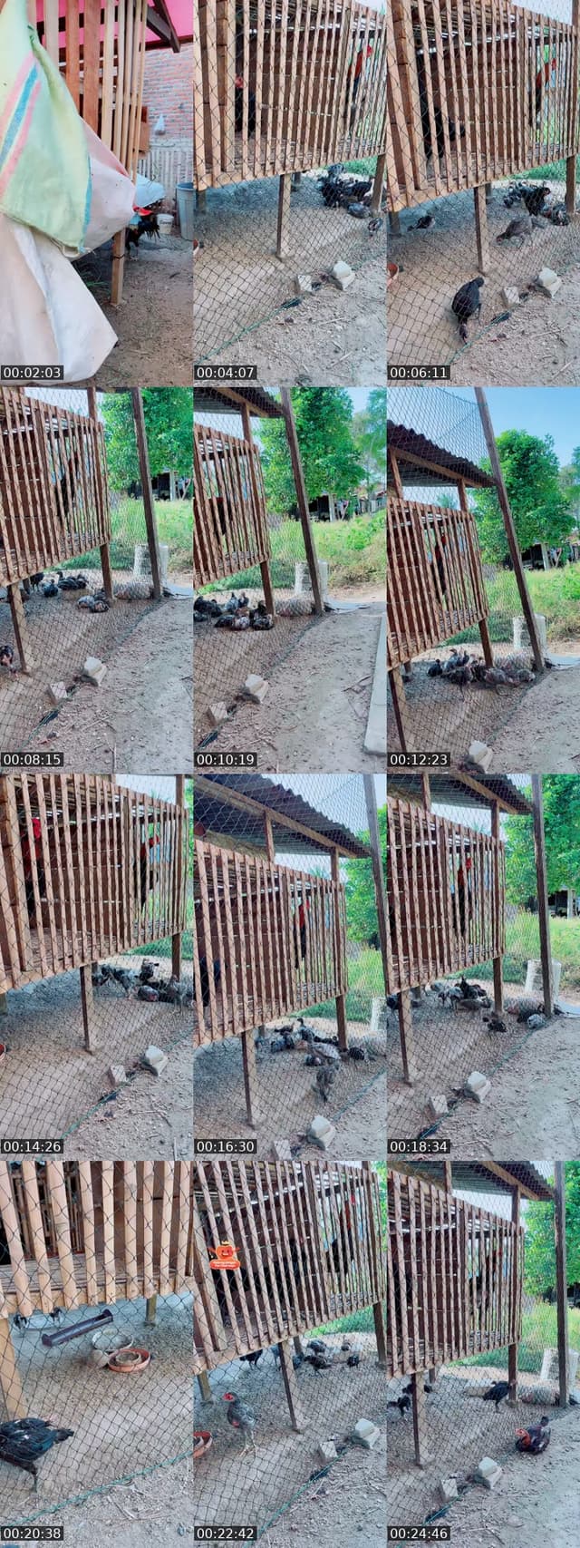 @cucoeabuamainsya92 TikTok live from 2026-05-28