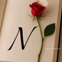 @.......nn28