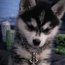 @boric_cooler89