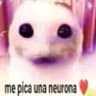 @cc_wowq.pro