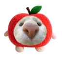 @hzlnt_ofc