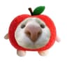 @hzlnt_ofc