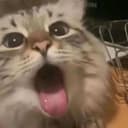 @keithhhhh18