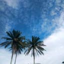 @lelyginting_