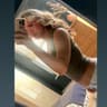 @phoeberobertssx