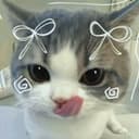 @serraae_