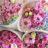 @singaporeflorist