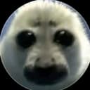 @tulen_capibara