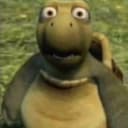 @turtlgd
