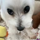@ykilikedubututhrowmeaway