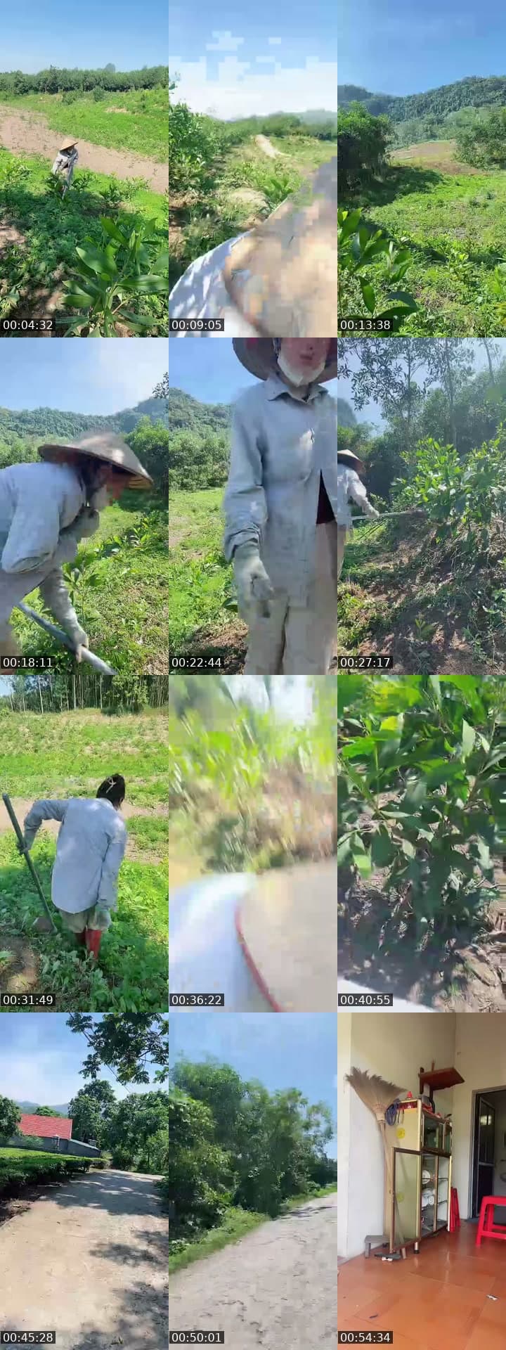 @huong_linh97 TikTok live stream