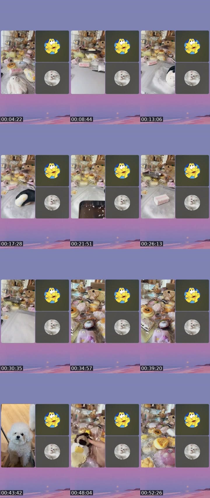 @user9607516127815 TikTok live stream