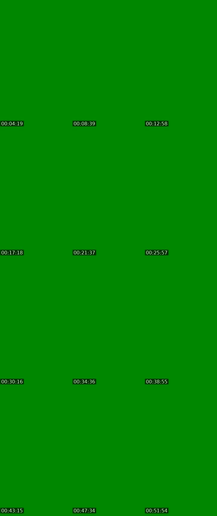 timer!