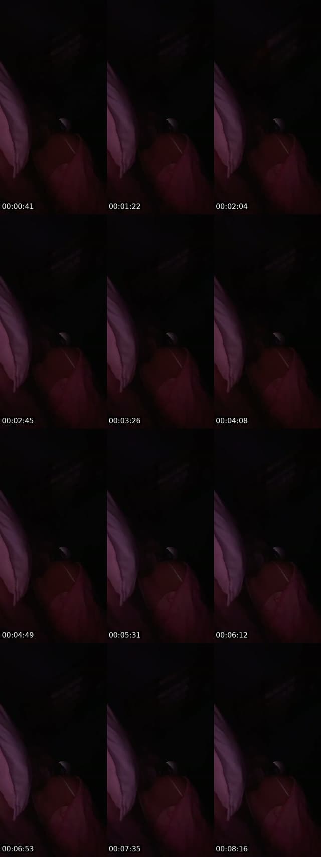 @pimphi65 TikTok live from 2026-06-25