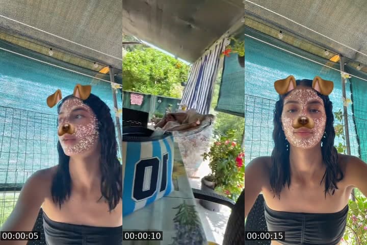 @71regiii TikTok live stream