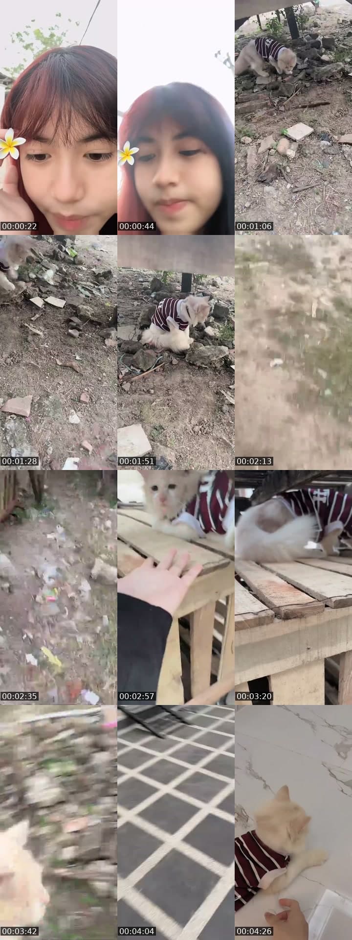 @aniiajaa10 TikTok live stream