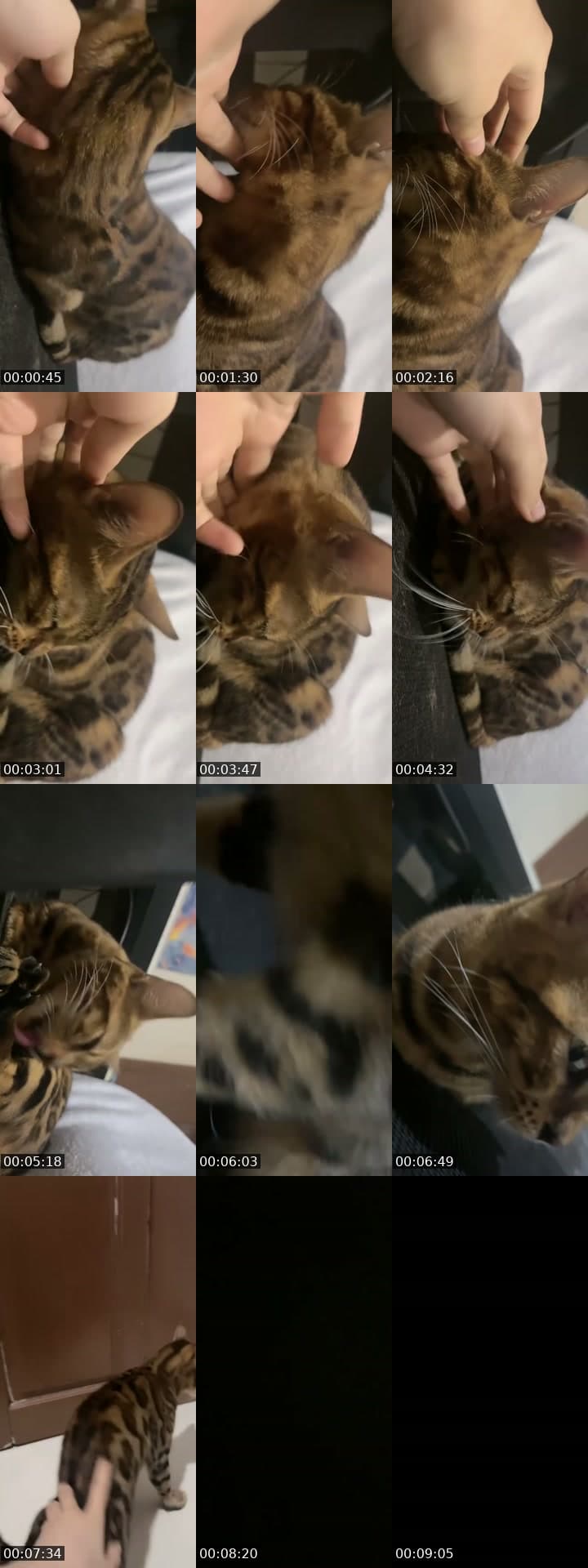 @vyotaa TikTok live stream